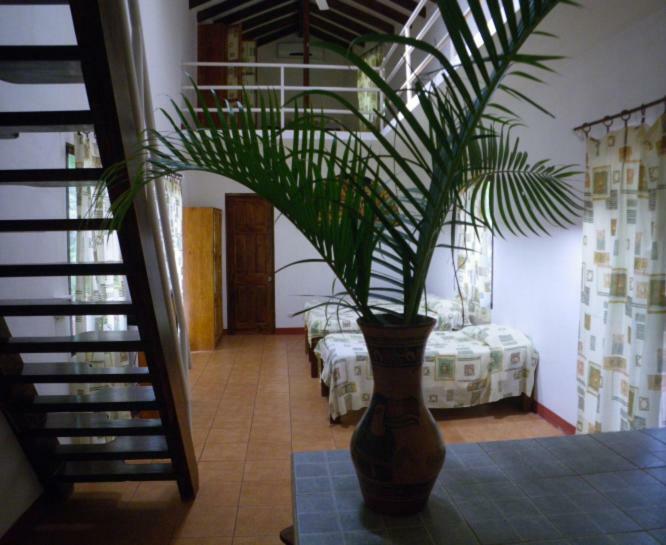 ניקויה Finca Buena Fuente Residence Hotel מראה חיצוני תמונה